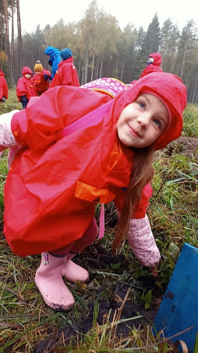 Dzieci z Przedszkola Miś w Szczecinku posadziły prawdziwy Stumilowy Las [zdjęcia]