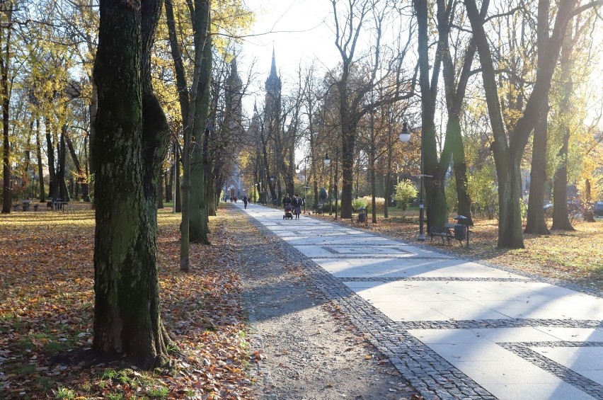 Radomski park Tadeusza Kościuszki przybrał jesienne barwy....