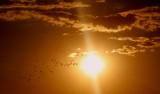 W Łódzkiem możliwy jest dzisiaj wysoki poziom ozonu w powietrzu. Kto powinien uważać? Są zalecenia. Jakie szczegóły?
