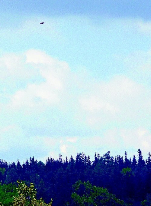 UFO sfotografowane nad górą Chełmiec w maju 2008 roku