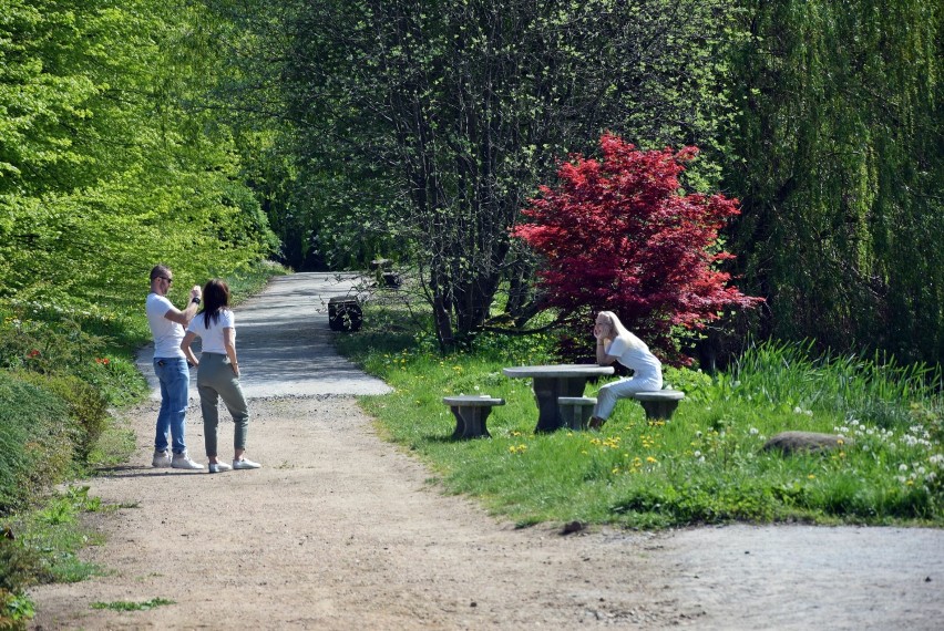 Ogród Dendrologiczny w Przelewicach