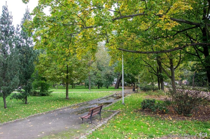 Park Miejski w Pleszewie ma szansę zmienić swoje oblicze i...