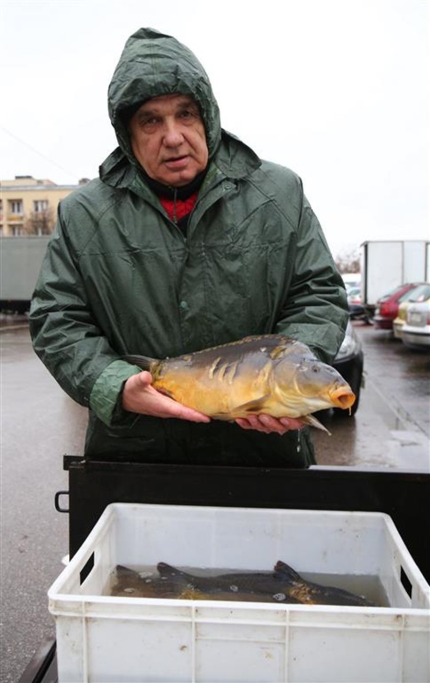 Tadeusz Hochman z firmy Agrodolina w Świerczyńsku (gm....