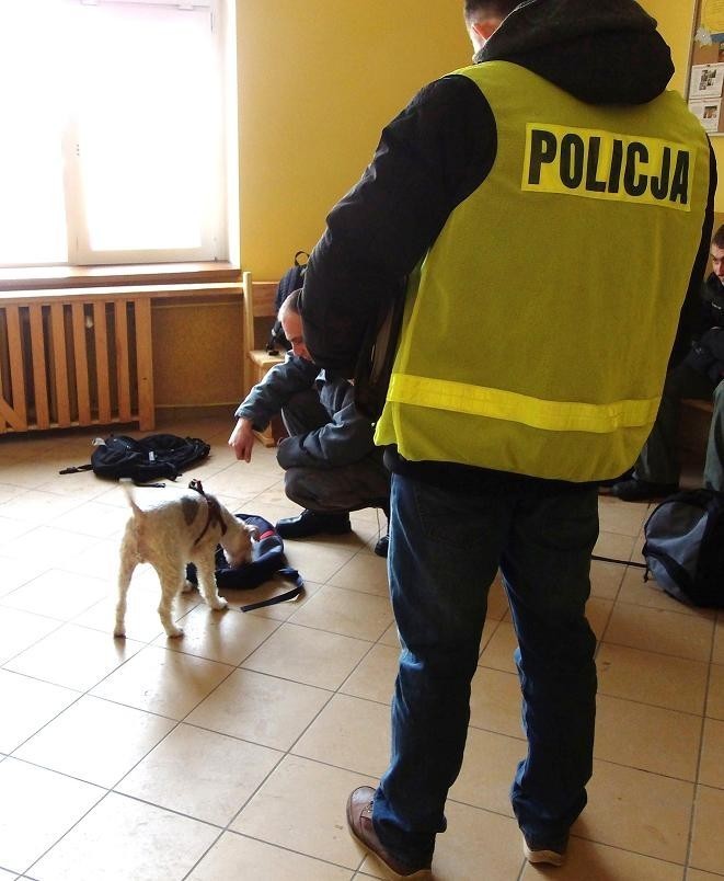 Kwidzyn: Funkcjonariusze policji i służby więziennej przy pomocy psa szukali narkotyków