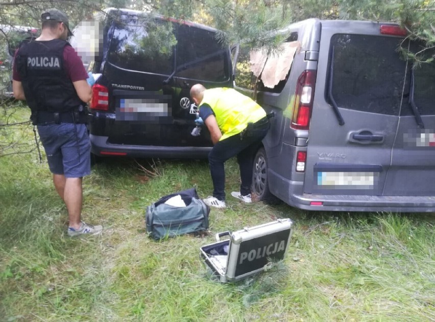 Ukradli cztery samochody! Mieszkańcy Kościerzyny zatrzymani. Auta ukryli w lesie pod gałęziami FOTO, WIDEO