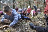 Gorzów: 60 małych dzików szalało w Parku Słowiańskim [ZDJĘCIA]