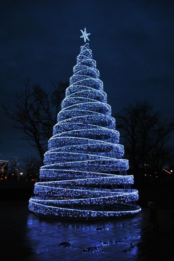 Wyjątkowa choinka przy Magnolii.

 Zapłonęły świąteczne dekoracje w Rynku(ZDJĘCIA)