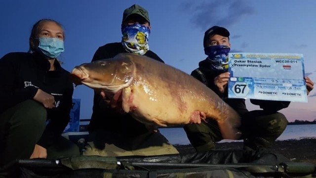 Okazało się, że Przemysław Sydor złowił pięknego golca, czyli karpia bez łusek (z angielskiego: leather carp, czyli karp skórzany). – Oficjalna waga to 23,6 kg - mówi.