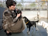 Zofia Białoszewska: Ludzie chcą pomagać zwierzętom, ale to ciągle mało [rozmowa NaM]