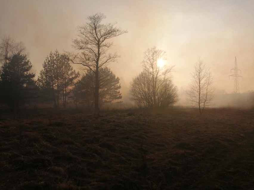 Wielkanocne pożary traw w gminie Libiąż. Strażacy mieli Lany Poniedziałek [ZDJĘCIA]