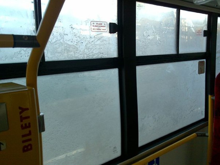 Autobus 174 skuty lodem