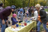 W niedzielne południe skierniewiczanie tłumnie włączyli się w akcję zbierania kasztanów dla Franka Zembrzuckiego