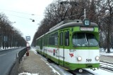 Linia 46 w Łodzi: żeby później modernizować, najpierw trzeba remontować?