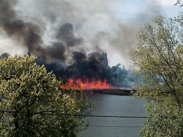 Gniezno: pożar nad jeziorem Świętokrzyskim