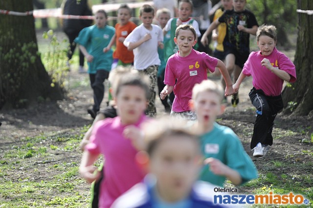 Ponad dwa tysiące uczniów z całego regionu wzięło udział w Indywidualnych Biegach Przełajowych o Puchar Przewodniczącej Szkolnego Związku Sportowego, które odbyły się na oleśnickim podzamczu.