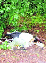 Życie po śmieciach:  Na skraju Długoszyna śmieci jest pełno