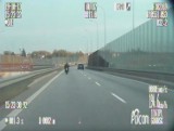 Nietrzeźwy 51-letni motocyklista bez uprawnień, jechał prawie 200 km/h aleją Armii Krajowej w Gdańsku [wideo]