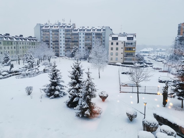 Zima w Bełchatowie i powiecie, styczeń 2021