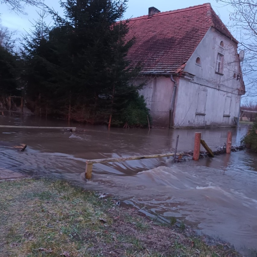 Przerwana tama na niewielkiej strużce spowodowała zalanie...