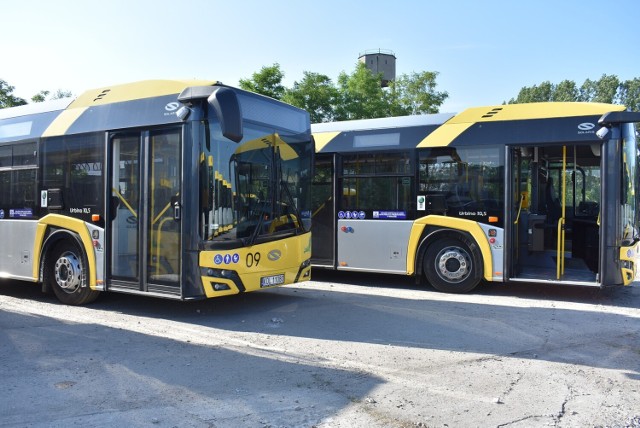 Bezpłatnym autobusem na Dni Bukowna 2023 (zdjęcie poglądowe)