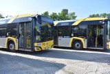 Bezpłatną komunikacją na Dni Bukowna 2023. Autobusy odjadą z Międzygórza, Bukowna Starego, Wodącej, Boru Biskupiego i Podlesia 