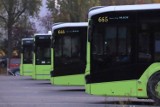 Kierowcy miejskich autobusów poszukiwani. MZK w Gorzowie czeka na pracowników