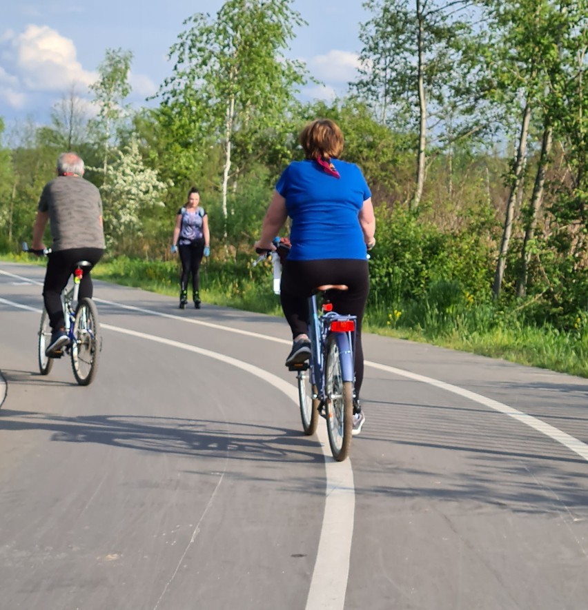 Nowy Sącz. Ścieżka na Kamienicą pełna rowerzystów [ZDJĘCIA]