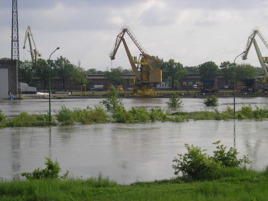 Wrocław: Most Trzebnicki, Różanka (ZDJĘCIA)