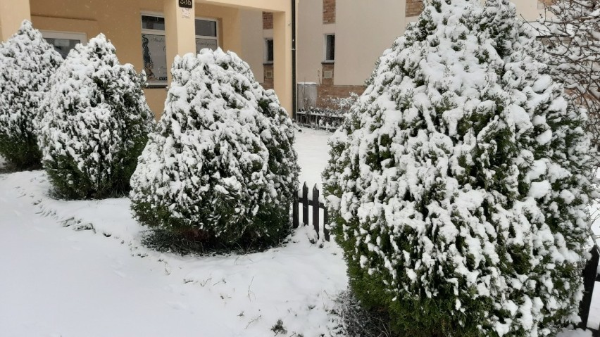 Zimowa sobota w Lesznie
