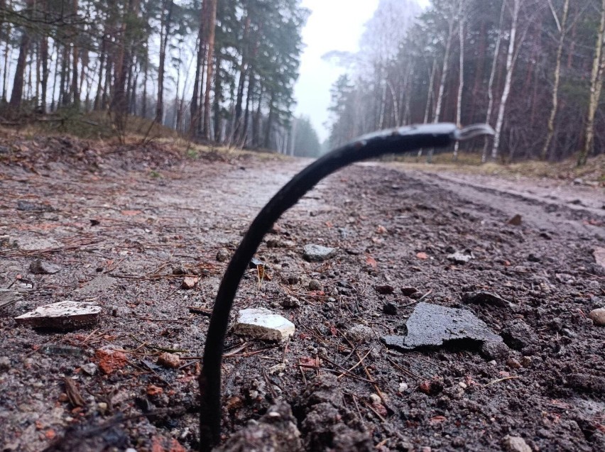 Toruń. Plastikowa droga w lesie - kto użył zanieczyszczonego gruzu 