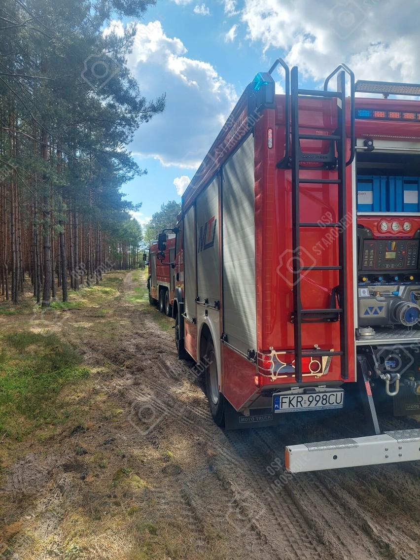 Pożar lasu w okolicach Wełmic.