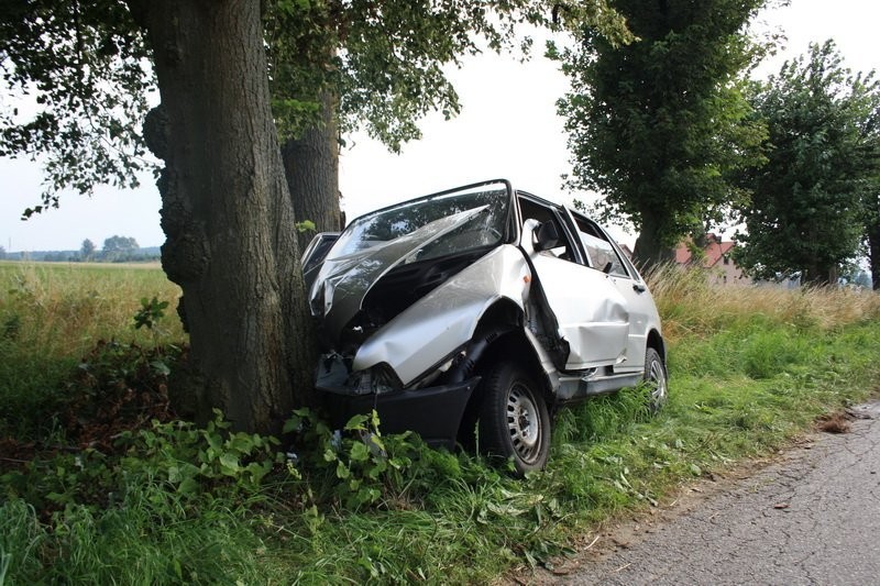 Garczegorze: Kolizja. Kobieta kierująca samochodem uderzyła w drzewo