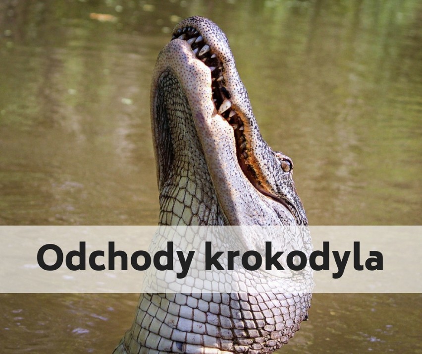 Jedną z najbardziej ekstremalnych metod antykoncepcyjnych...