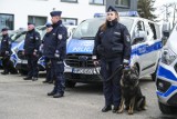 Nowe radiowozy do przewozu policyjnych psów dla komend w Kujawsko-Pomorskiem. Zwierzęta pełnią ważną rolę na służbie