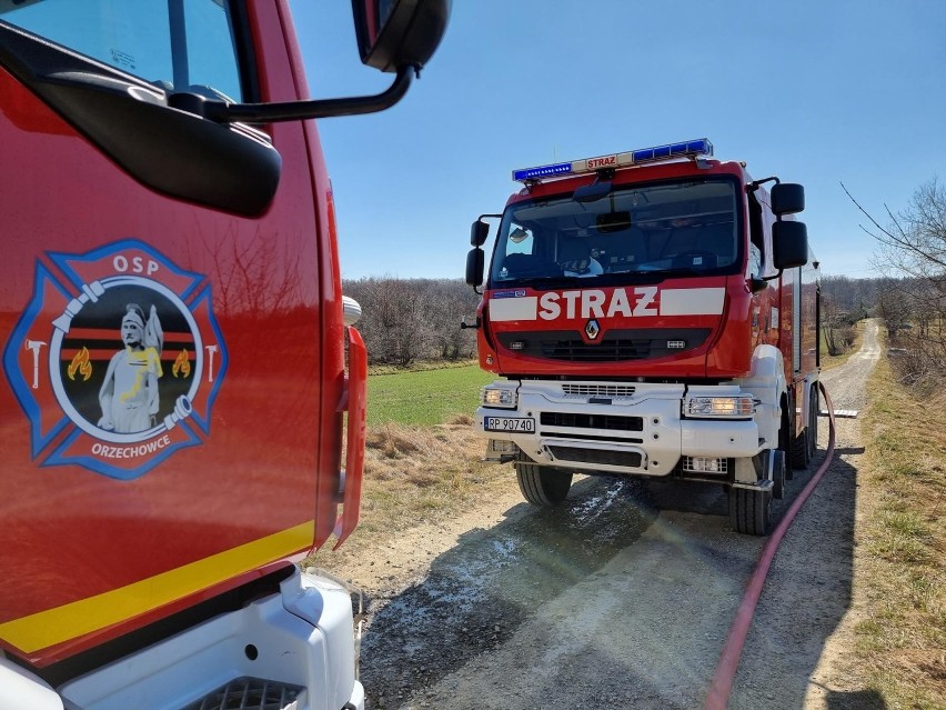 Pożar w Ujkowicach pod Przemyślem. Pięć zastępów strażaków gasiło pożar drewnianego domu [ZDJĘCIA]