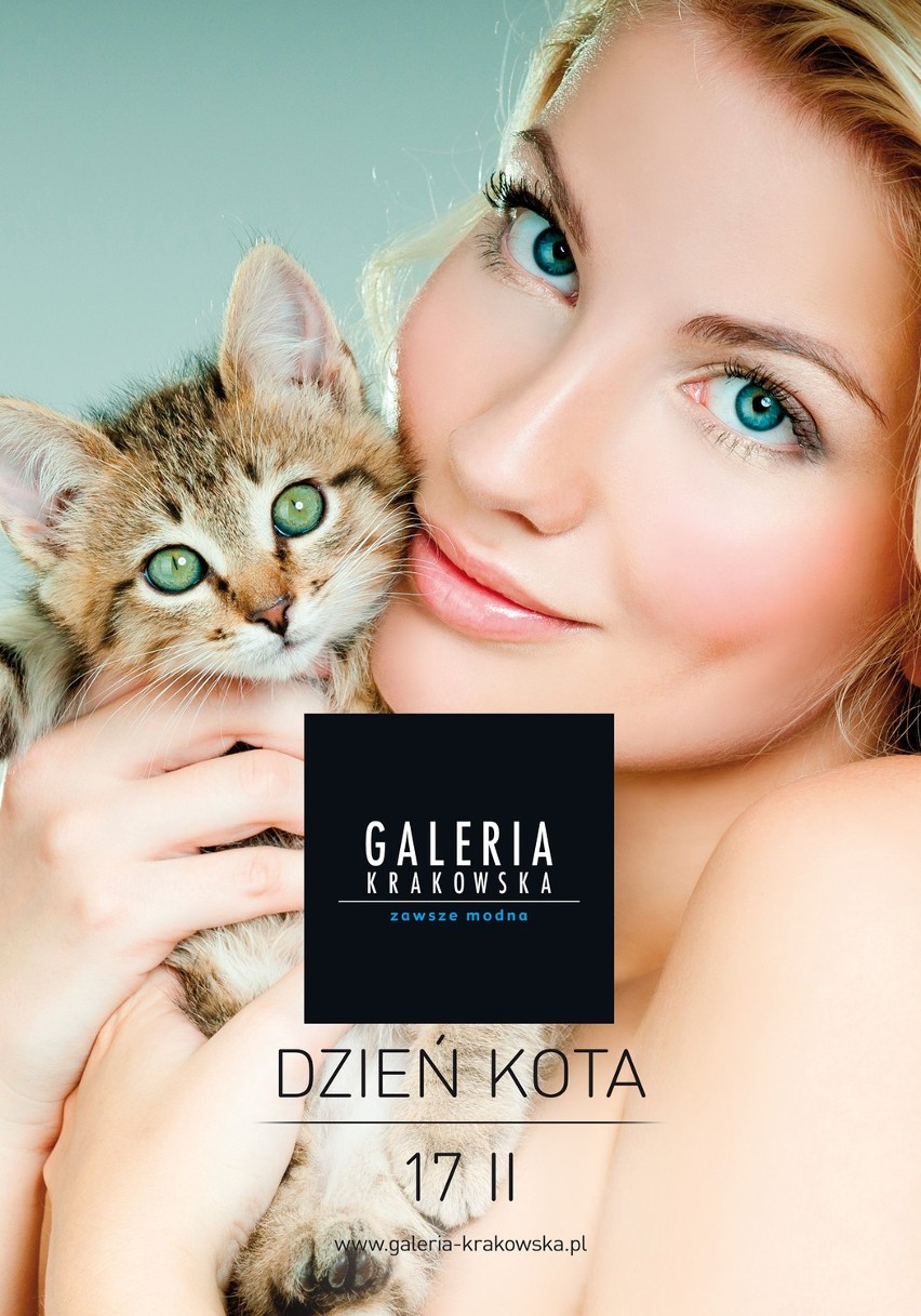 Dzień Kota: wystawa kotów w Galerii Krakowskiej