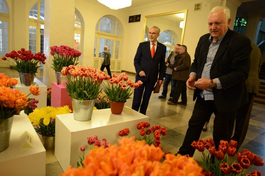 XVIII Wystawa Tulipanów w Poznaniu