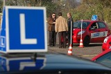 Prawo jazdy w Oświęcimiu: trwają prace legislacyjne nad nową ustawą