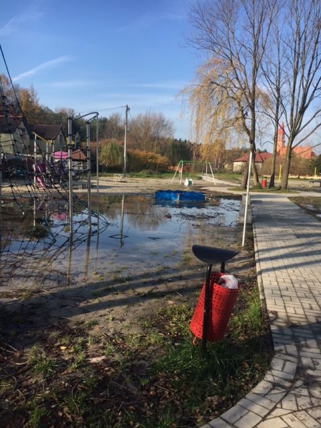 Zielone płuca Kalisza. Tak dzisiaj wygląda inwestycja