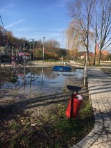 Zielone płuca Kalisza. Tak dzisiaj wyglądają [FOTO]