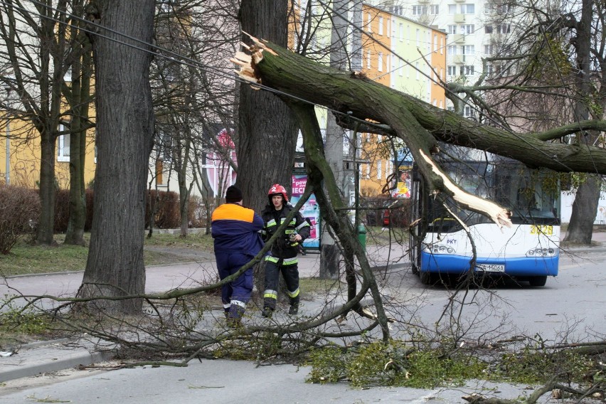 Gdynia: Flesz z przeszłości. 08.02.2011. Niszczycielska wichura nawiedziła miasto. Były poważne szkody