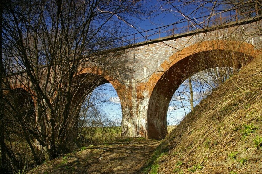 Most i wiadukt nad Oszczenicą w Ryżynie. Kwiecień 2011 r.