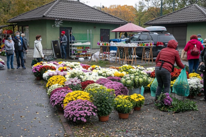 Wszystkich Świętych tuż, tuż. Ile kosztują najtańsze donice...