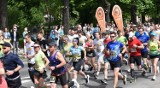 Bieg o Złote Gacie i Nordic Walking w Brzeszczach. Na starcie stanęło kilkuset uczestników. Zobaczcie zdjęcia i wyniki 