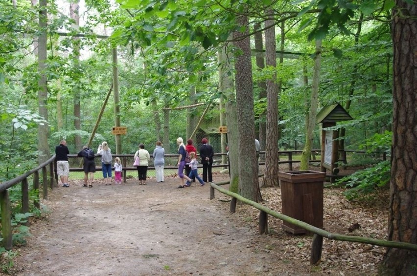 Woliński Park Narodowy zyskał nowego mieszkańca