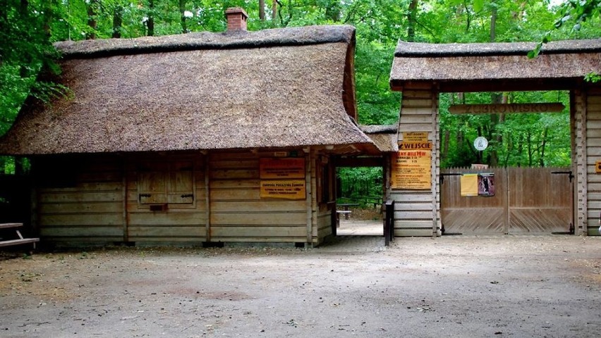 Woliński Park Narodowy zyskał nowego mieszkańca