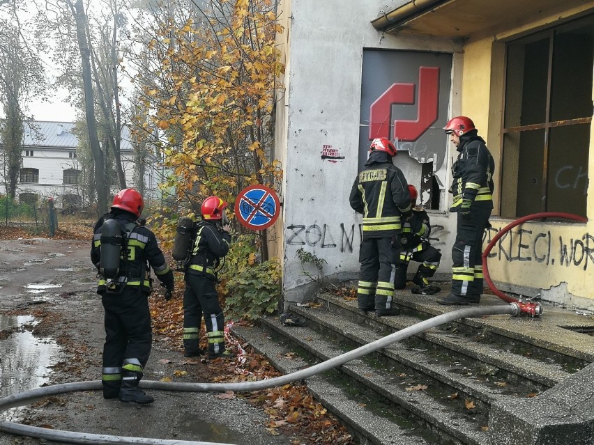 Pożar budynku przy ul. Dąbrowskiego w Toruniu [ZDJĘCIA]