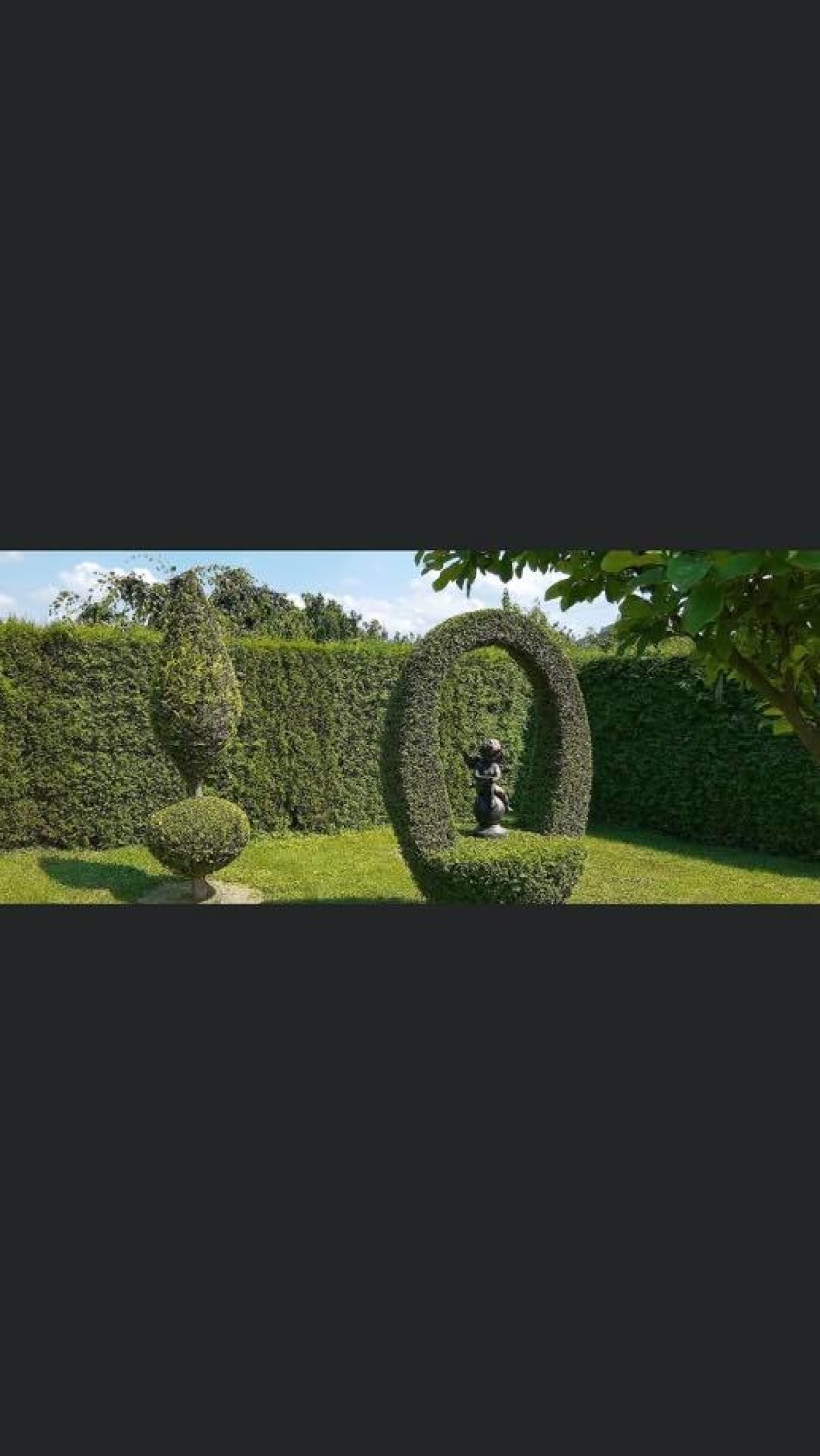 Najpiękniejsze ogrody mieszkańców Jastrzębia-Zdroju