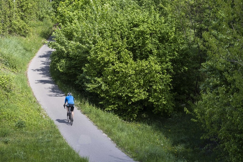 Powstanie nowy szlak rowerowy na Mazowszu. ,,VeloMazovia - Zachód" to prawie 230 km trasy