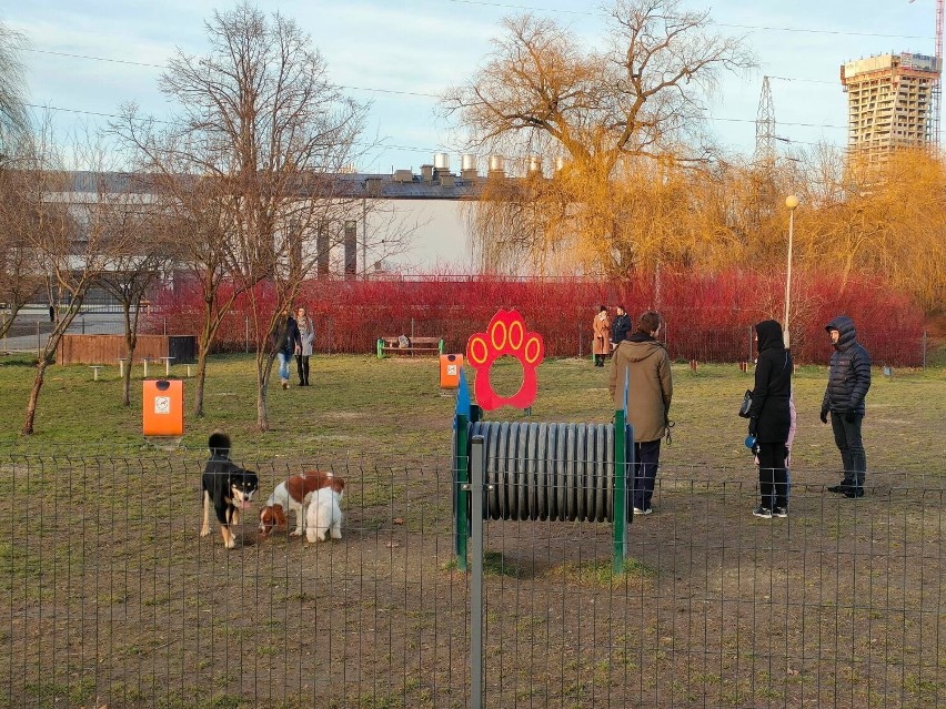 Rzeszowianie korzystali z dobrej pogody [ZDJĘCIA] 